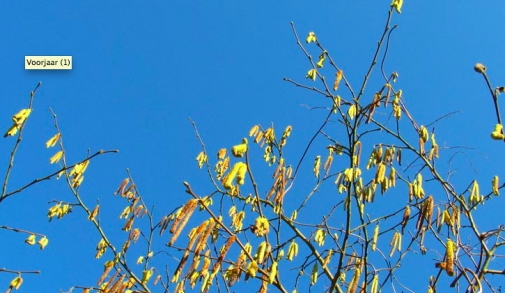 Schermafbeelding 2012-03-20 om 15.39.54.png